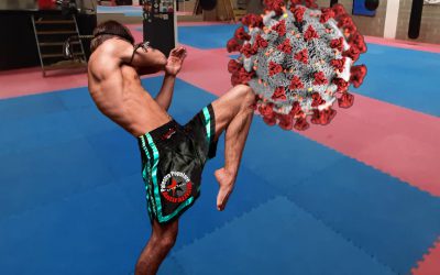 COVID-19 Fase 2 – Second Round